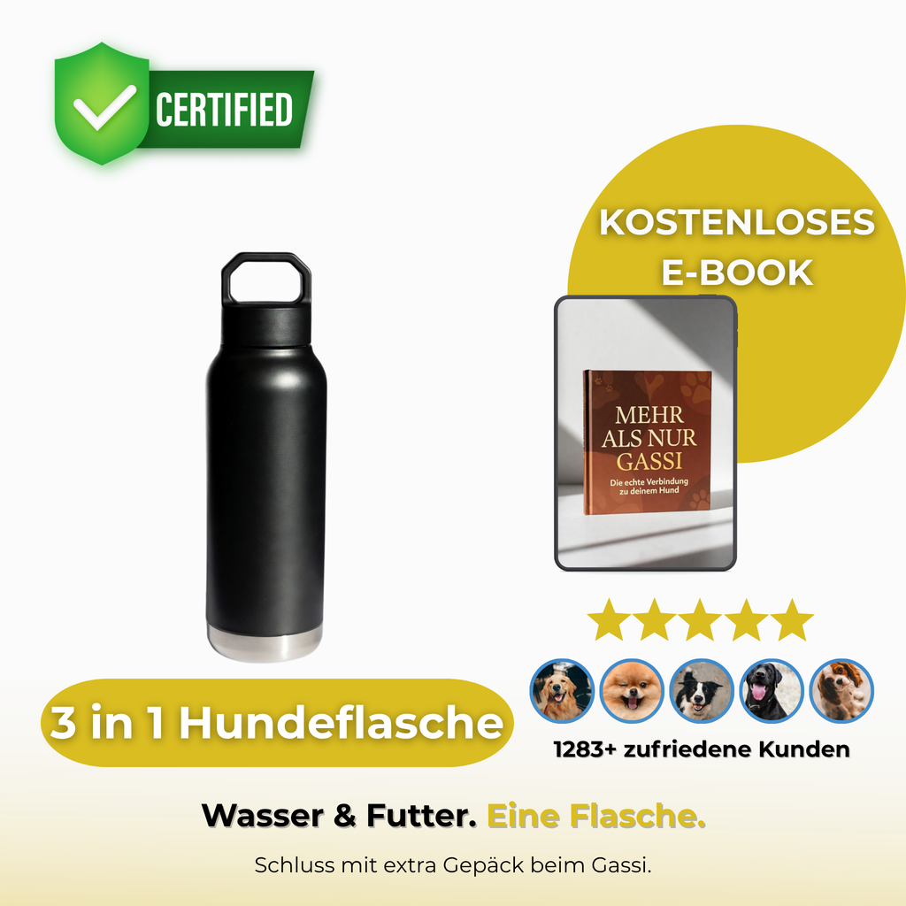 3 IN 1 HUNDEFLASCHE