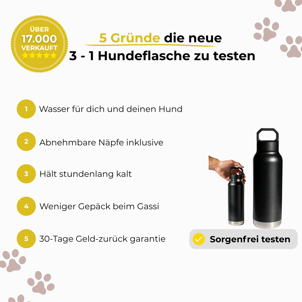 3 IN 1 HUNDEFLASCHE