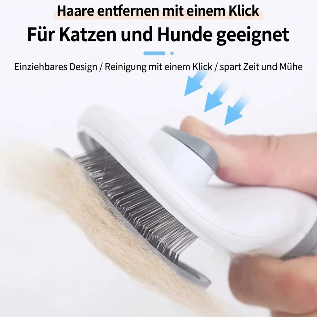 Hunde Bürste